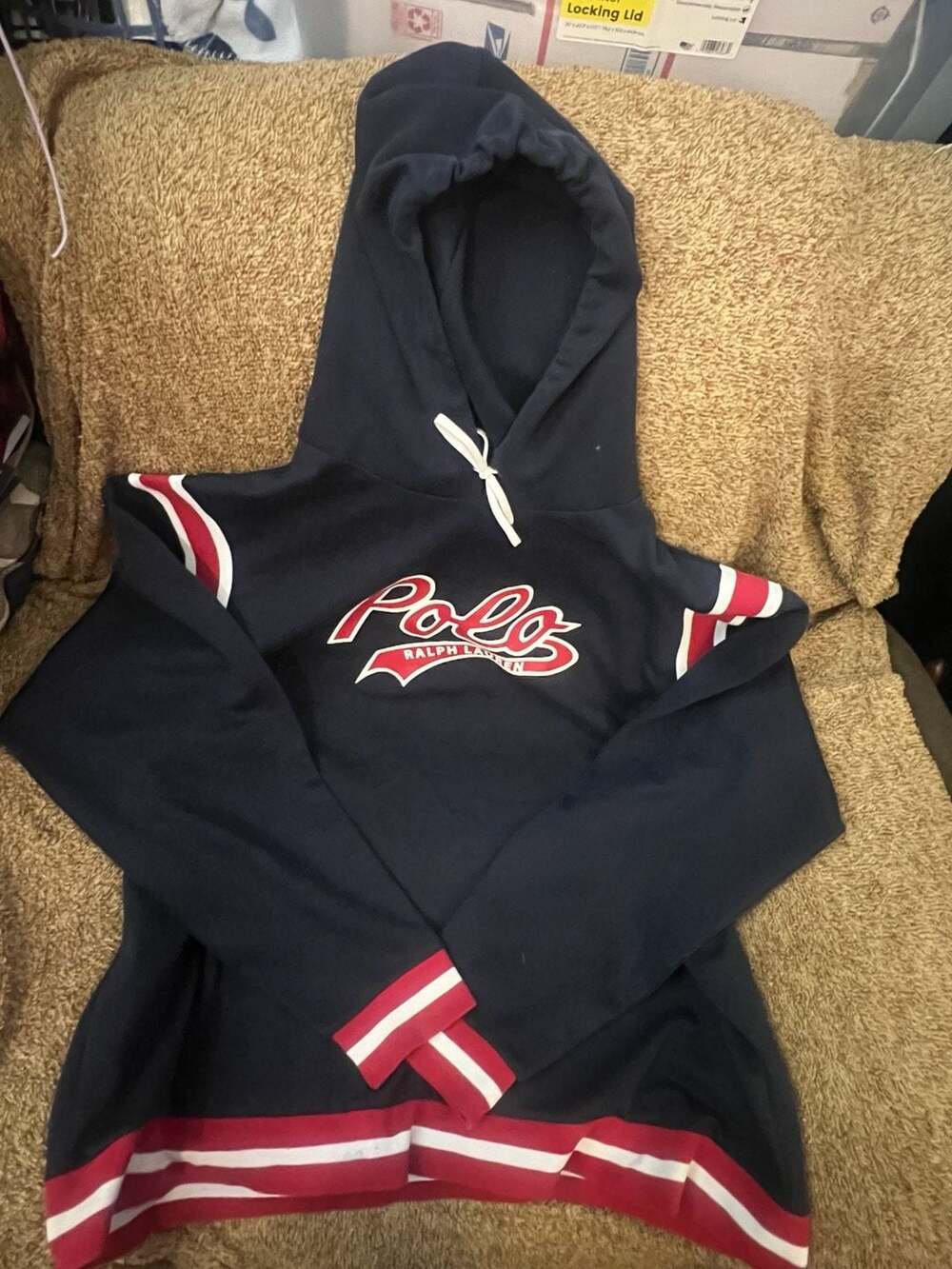 Polo Ralph Lauren Script Logo Hoodie Sweatshirt
